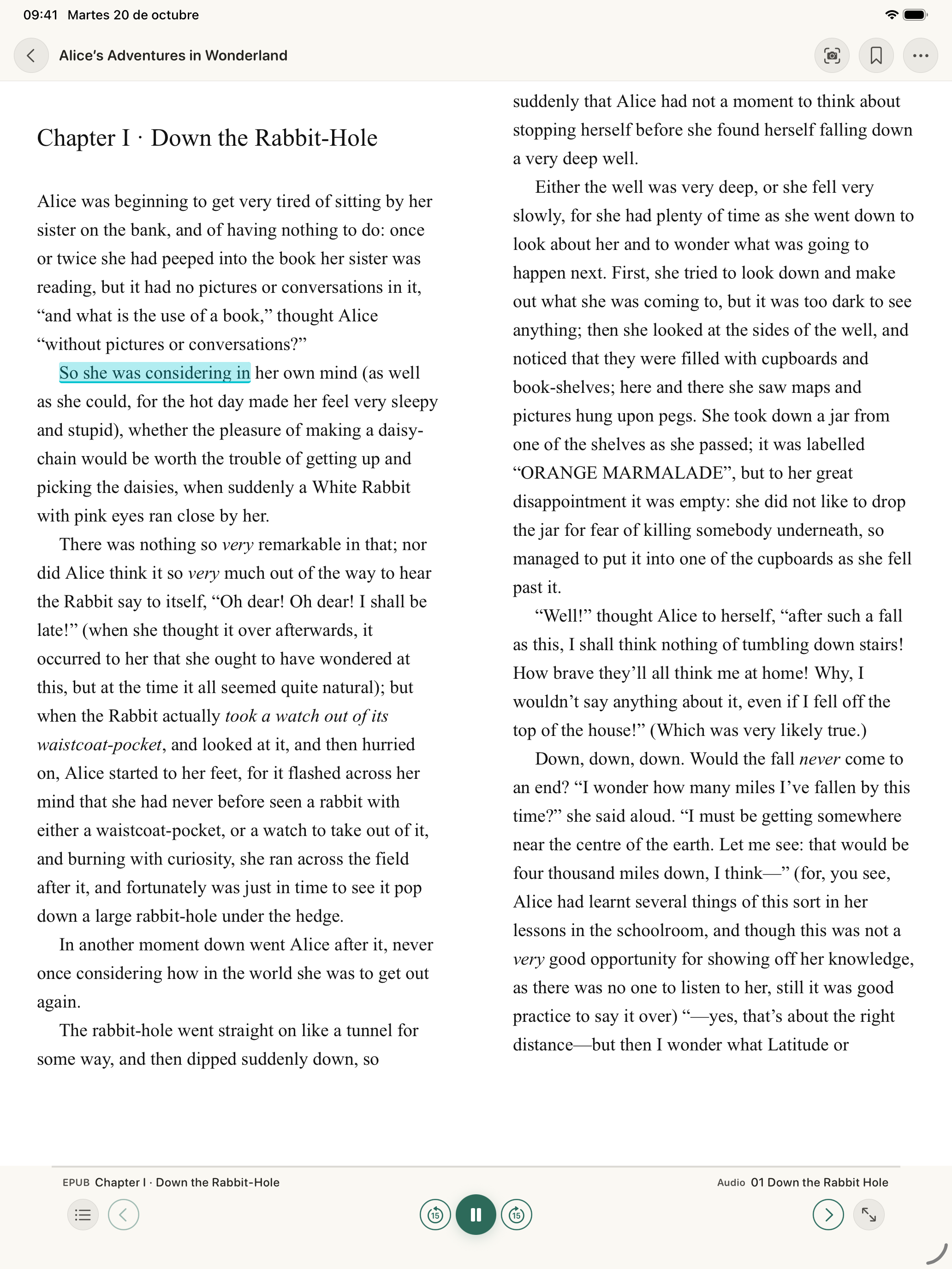 Real Continuum screenshot on iPad: immersive reading with the narrated passage highlighted.
